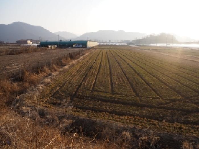 2026타경124 전답 · 경상남도 밀양시 상남면 마산리 1180