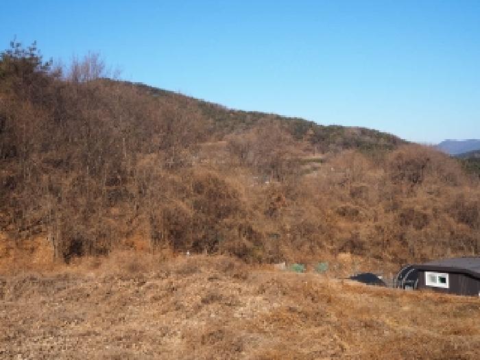 2026타경155 임야 · 경상남도 밀양시 단장면 감물리 산56