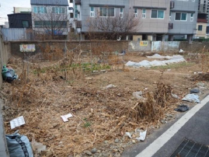 2026타경193 대지 · 경상남도 밀양시 삼문동