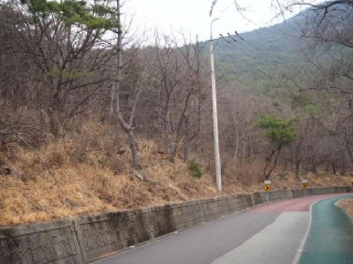 2026타경322 임야 · 경상남도 밀양시 삼랑진읍 안태리 산57