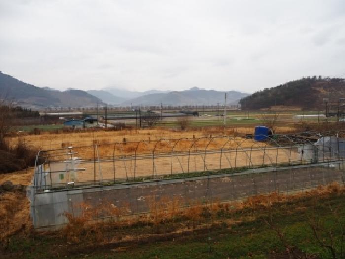 2026타경353 대지 · 경상남도 창녕군 부곡면 노리 125