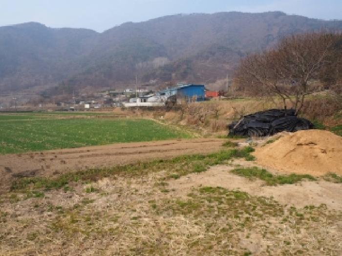 2026타경438 전답 · 경상남도 밀양시 무안면 성덕리 301-1
