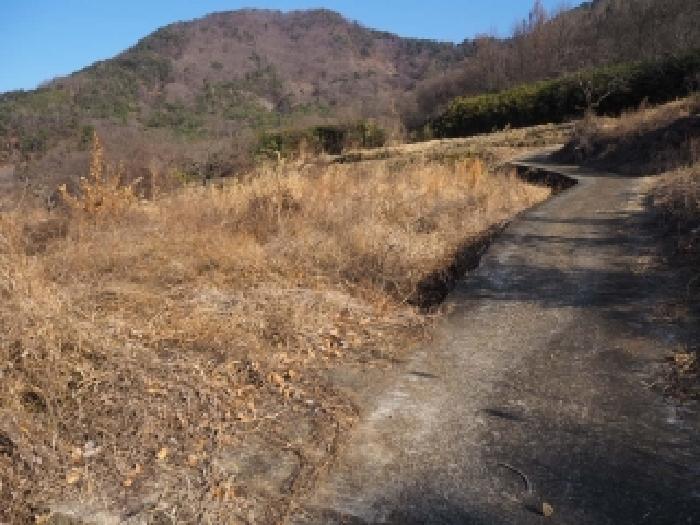 2026타경70 전답 · 경상남도 밀양시 단장면