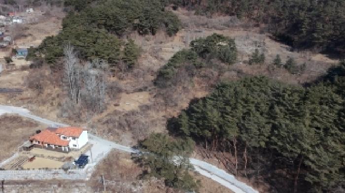 2025타경10388 임야 · 경상남도 함양군 안의면 하원리 산193-4