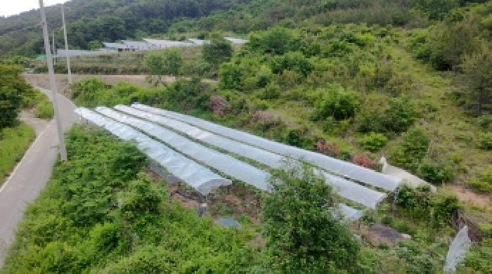 2025타경400 임야 · 경상남도 거창군 신원면 과정리 산150-1