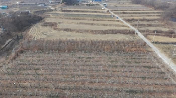 2025타경606 전답 · 경상남도 거창군 거창읍 가지리 908-3