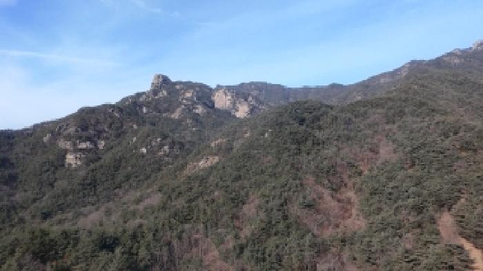 2026타경10006 임야 · 경상남도 거창군 가조면 수월리 산191-6
