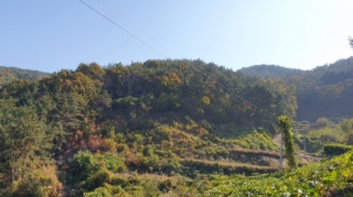 2022타경104675 임야 · 경상남도 창원시 마산합포구 구산면 옥계리 산201-1