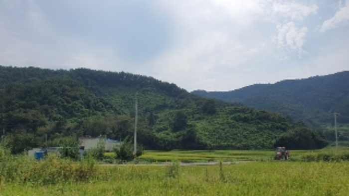 2024타경104716 · 경상남도 창원시 마산합포구 구산면 마전리 404