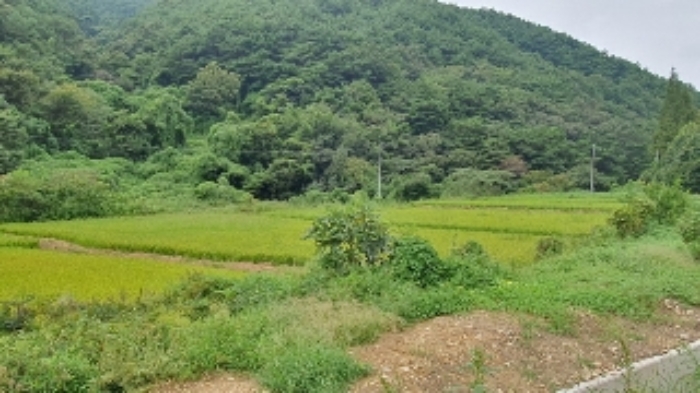 2024타경105313 · 경상남도 창원시 마산합포구 진전면 고사리 164