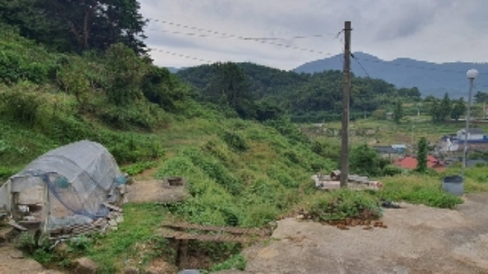 2024타경105856 전답 · 경상남도 창원시 마산합포구 진전면 시락리 700