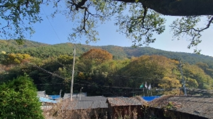 2024타경106316 대지 · 경상남도 창원시 마산합포구 진동면