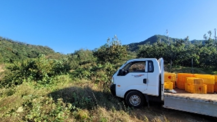 2024타경106330 임야 · 경상남도 함안군 칠북면 봉촌리 산384-2