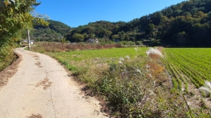 2024타경106552 전답 · 경상남도 창원시 마산합포구 구산면