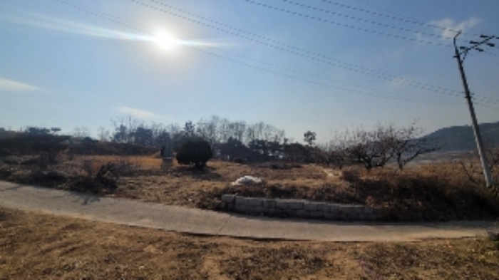2024타경107609 전답 · 경상남도 함안군 법수면