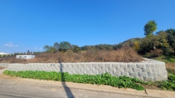 2024타경2919 대지 · 경상남도 함안군 법수면