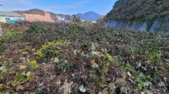 2024타경3028 임야 · 경상남도 함안군 칠원읍 용산리 251-1