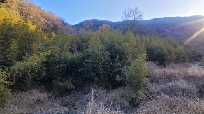 2025타경167 전답 · 경상남도 함안군 군북면
