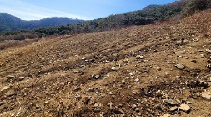 2025타경20353 전답 · 경상남도 함안군 여항면