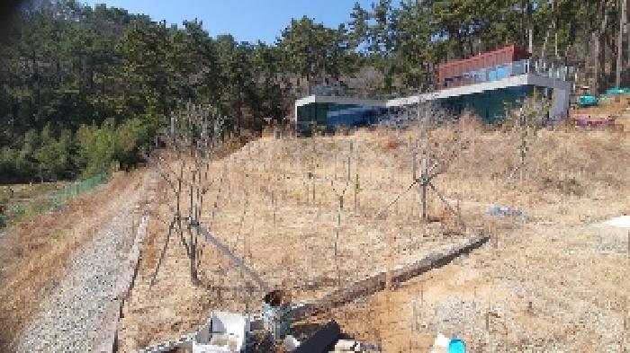 2025타경20405 토지 · 경상남도 창원시 마산합포구 덕동동 47-5