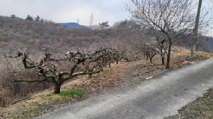 2025타경20419 · 경상남도 함안군 칠북면 덕남리 1192