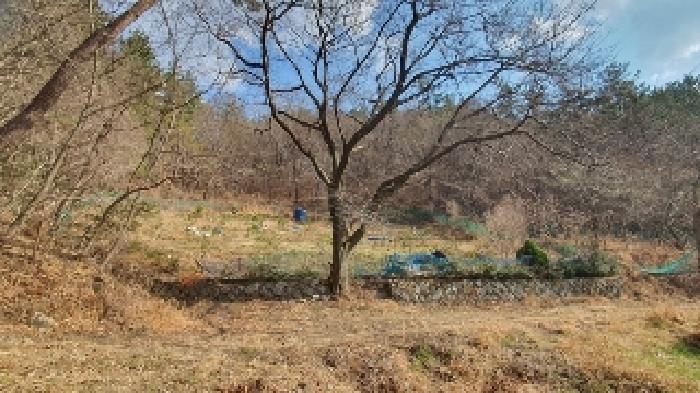 2025타경20430 대지 · 경상남도 창원시 마산합포구 구산면