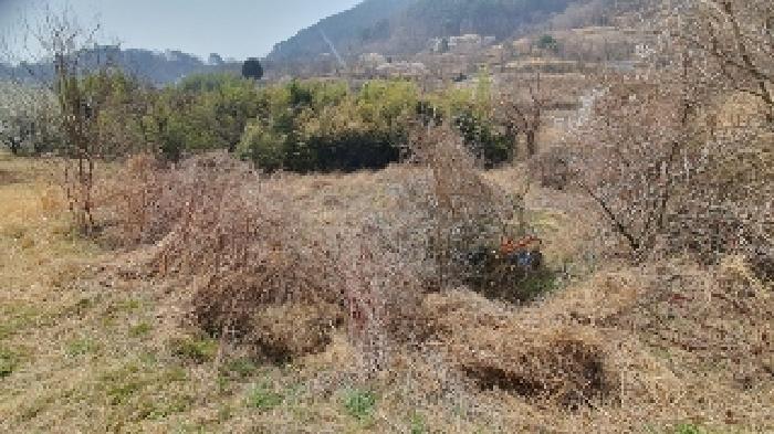 2025타경20435 전답 · 경상남도 창원시 마산합포구 진동면