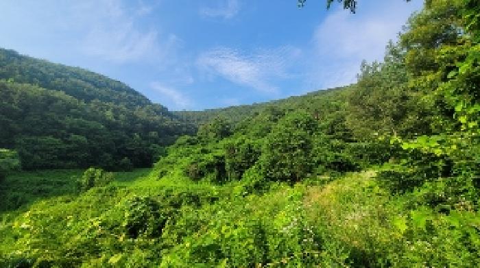 2025타경20667 전답 · 경상남도 의령군 지정면