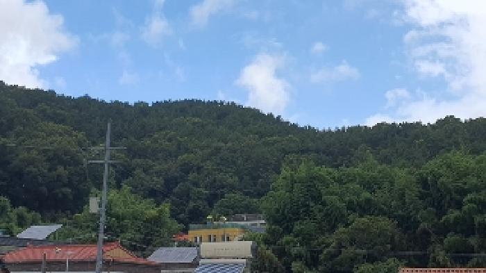 2025타경20726 임야 · 경상남도 창원시 마산합포구 진동면