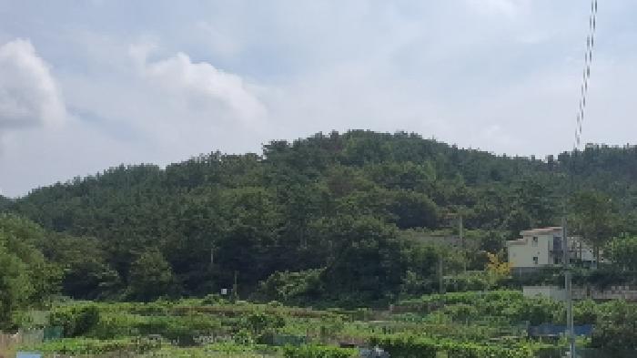 2025타경20827 임야 · 경상남도 창원시 마산합포구 구산면