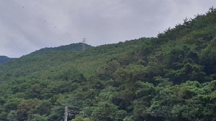 2025타경20830 대지 · 경상남도 함안군 법수면