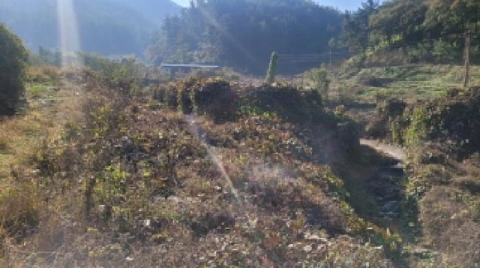 2025타경20977 전답 · 경상남도 함안군 산인면 운곡리 588