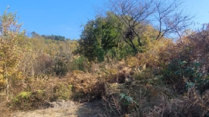 2025타경20997 전답 · 경상남도 함안군 가야읍