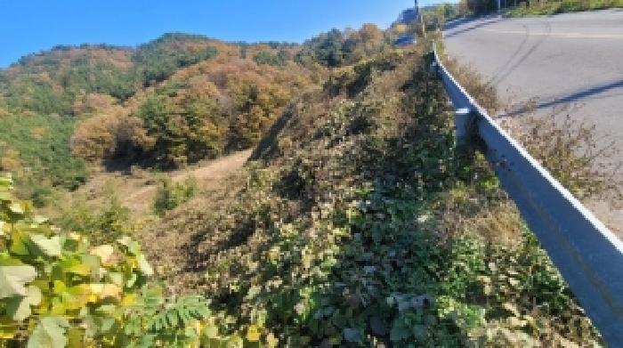 2025타경21005 임야 · 경상남도 함안군 법수면 강주리 267-1