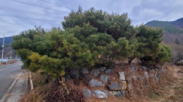 2025타경21052 대지 · 경상남도 의령군 의령읍 하리 146-6