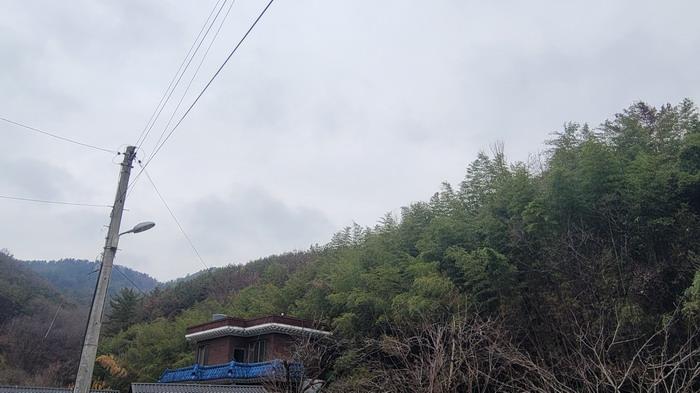 2025타경21084 · 경상남도 함안군 대산면 장암리 369-1