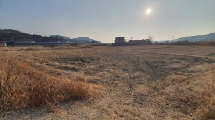 2025타경21087 전답 · 경상남도 창원시 마산합포구 진전면 근곡리 196-2