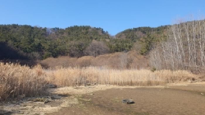 2025타경21088 대지 · 경상남도 창원시 마산합포구 진동면