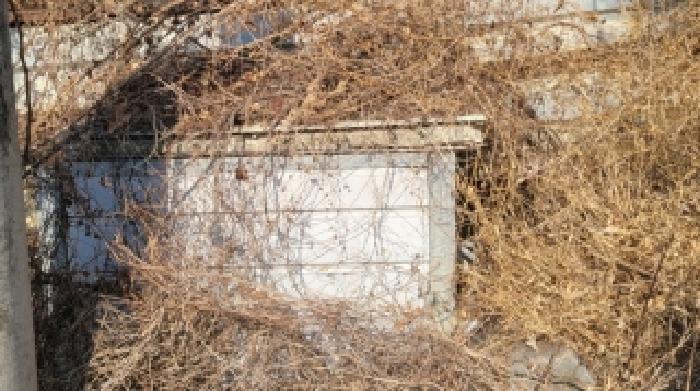 2025타경21103 · 경상남도 함안군 산인면