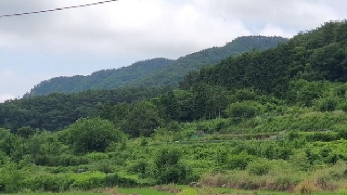 2025타경239 · 경상남도 창원시 마산합포구 구산면 수정리 941-2