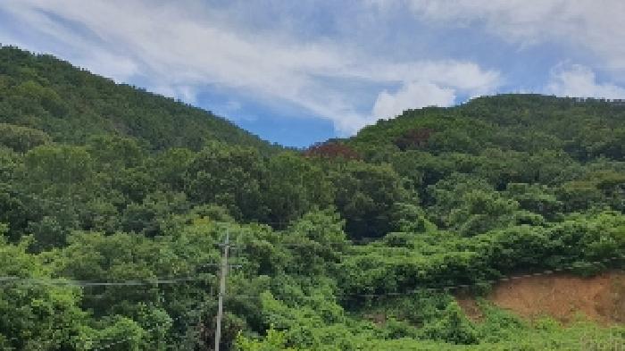2025타경274 대지 · 경상남도 창원시 마산합포구 구산면