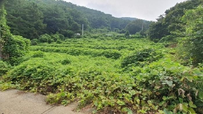 2025타경279 전답 · 경상남도 창원시 마산합포구 구산면
