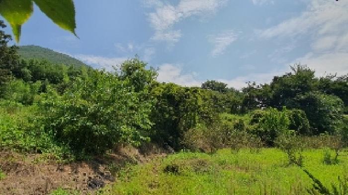 2025타경280 · 경상남도 창원시 마산합포구 진동면 교동리 512