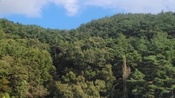2025타경309 임야 · 경상남도 창원시 마산회원구 내서읍