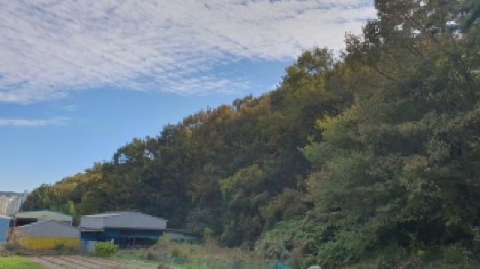 2025타경316 임야 · 경상남도 창원시 마산합포구 진북면
