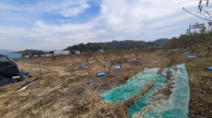 2025타경323 · 경상남도 함안군 칠서면 용성리 888-8