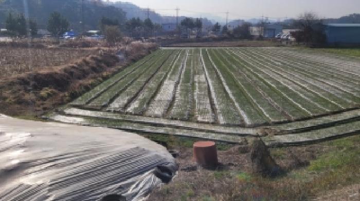 2025타경347 전답 · 경상남도 함안군 칠서면