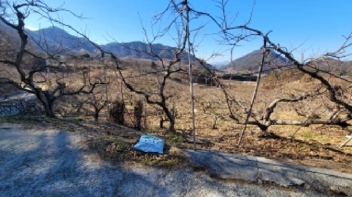 2025타경381 전답 · 경상남도 함안군 칠북면