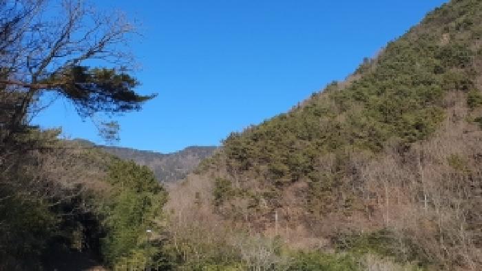 2025타경387 임야 · 경상남도 창원시 마산합포구 진전면 고사리 산126