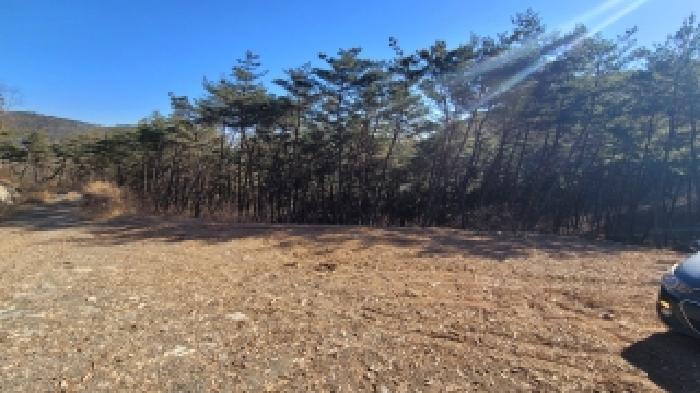 2025타경394 임야 · 경상남도 의령군 부림면